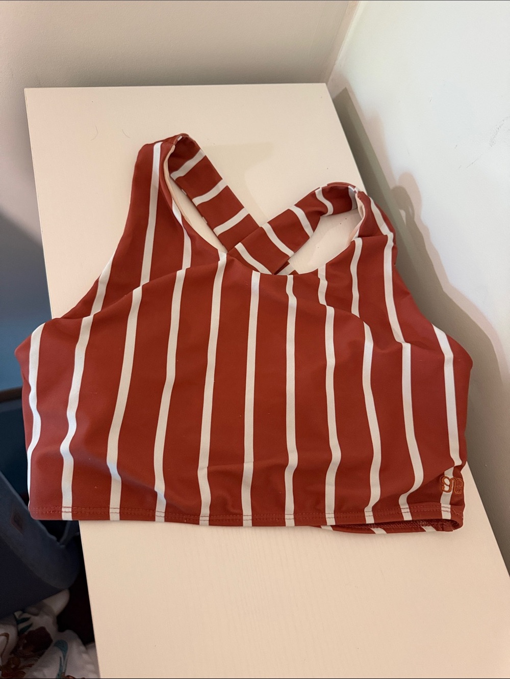 Striped Rust and Cream Tote Bag - Women